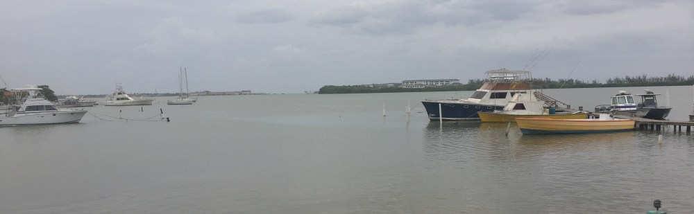 20180522_230627710_iOS