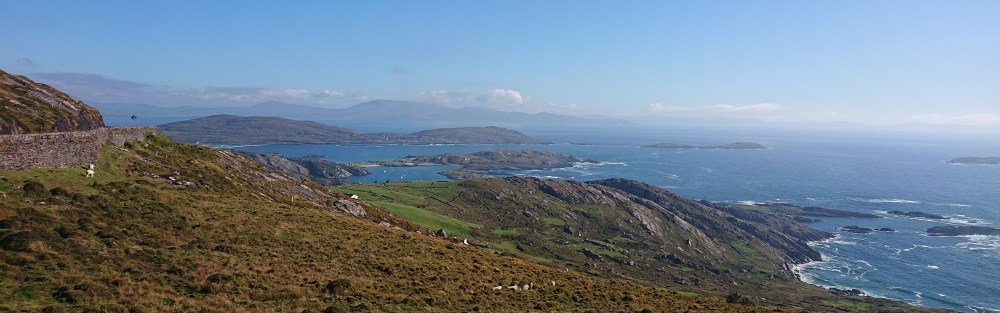 DSC_0704-1.jpg